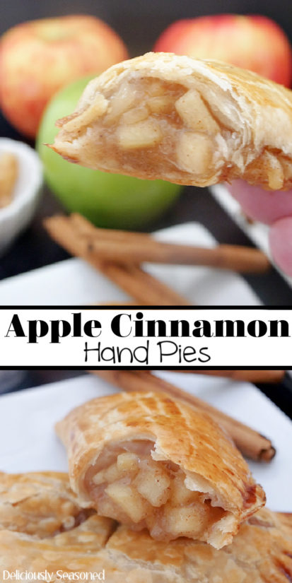 Apple Cinnamon Hand Pies - Deliciously Seasoned