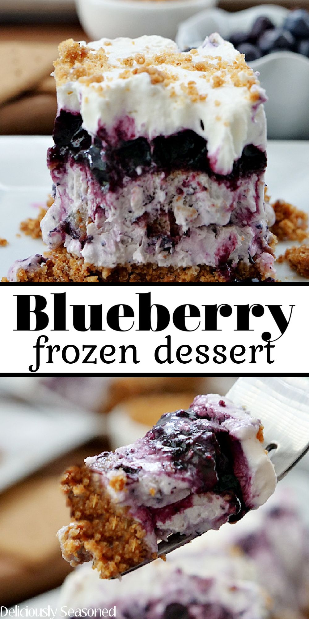 A double collage photo of frozen blueberry dessert on a white plate and a bite on a fork with the title of the recipe in the center of the photo.