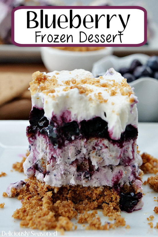  A piece of frozen blueberry dessert on a white plate with the title of the recipe at the top of the photo.
