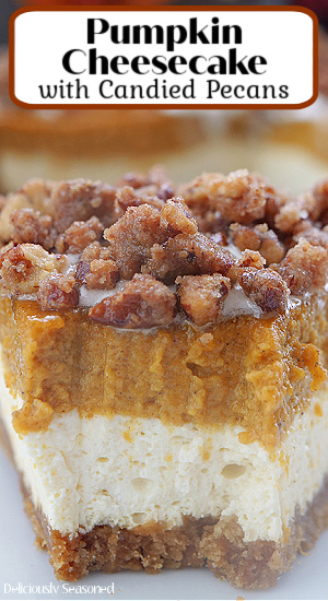 A close up photo of a slice of cheesecake with a layer of crust, cheesecake, pumpkin, and candied pecans.