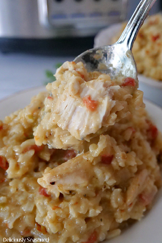 Slow Cooker Chicken and Rice in a white bowl with a large spoonful of chicken and rice.