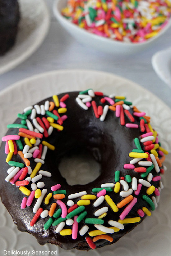 A white plate with a chocolate donut with candied sprinkles on it.