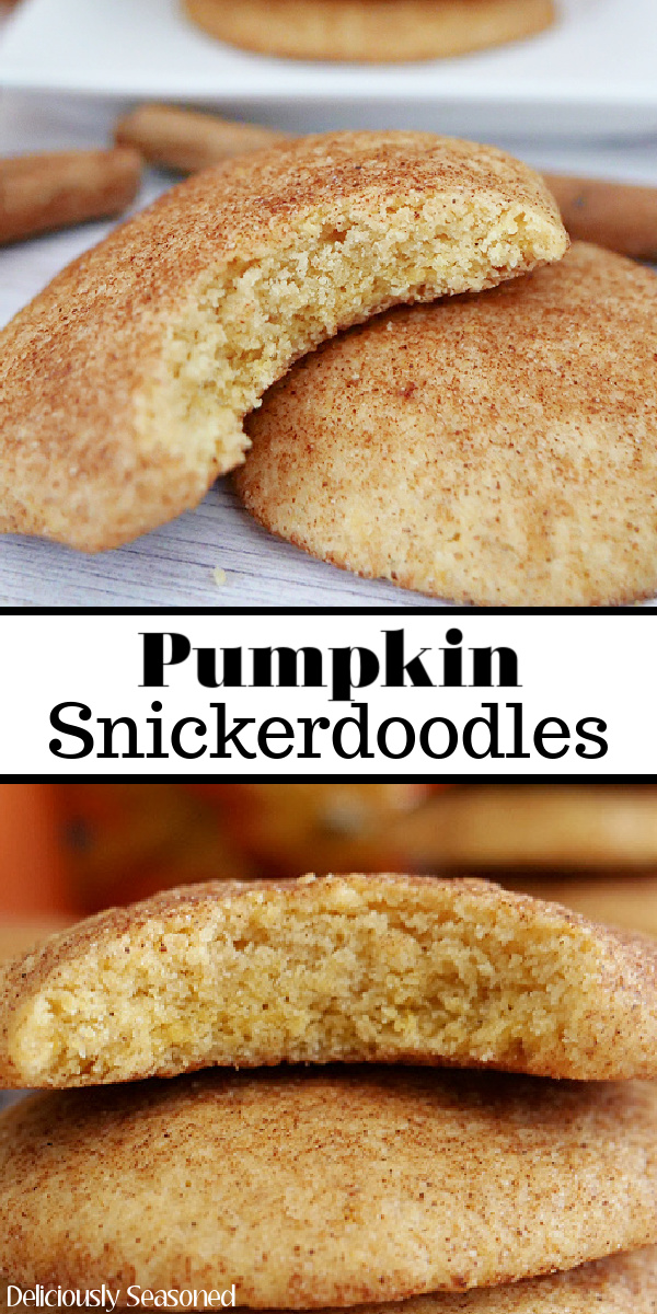 A double collage photo of pumpkin snickerdoodle cookies with the title of the recipe in the center of the two photos.