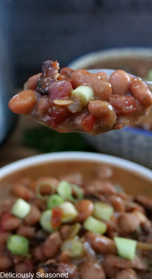 A close up of a spoonful of beans.