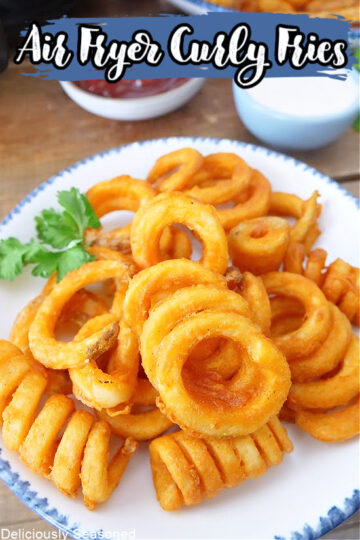Curly Fries In Air Fryer Recipe With Arby s Frozen Curly Fries