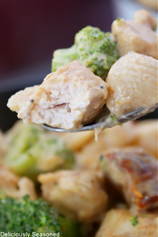 A spoonful of pasta with tender chicken, pasta shells, and broccoli florets on it. 