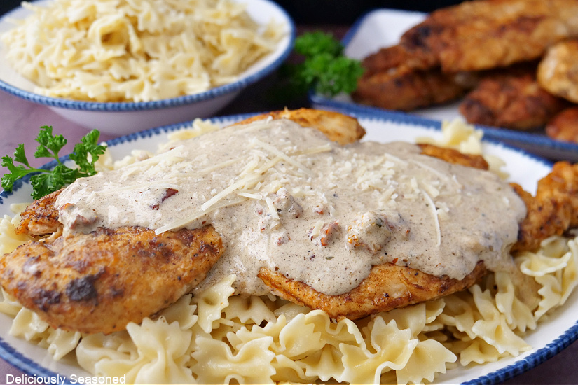 A landscape photo of a white plate with blue trim loaded with bowtie pasta noodles, two pieces of perfectly cooked chicken, and a creamy sauce.