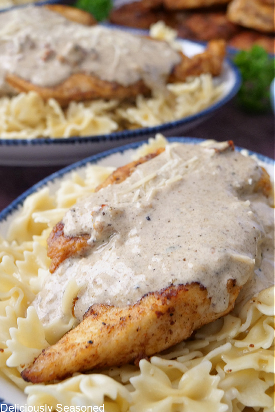 A large piece of chicken sitting on a bed of pasta noodles covered in sauce and shredded parmesan cheese.