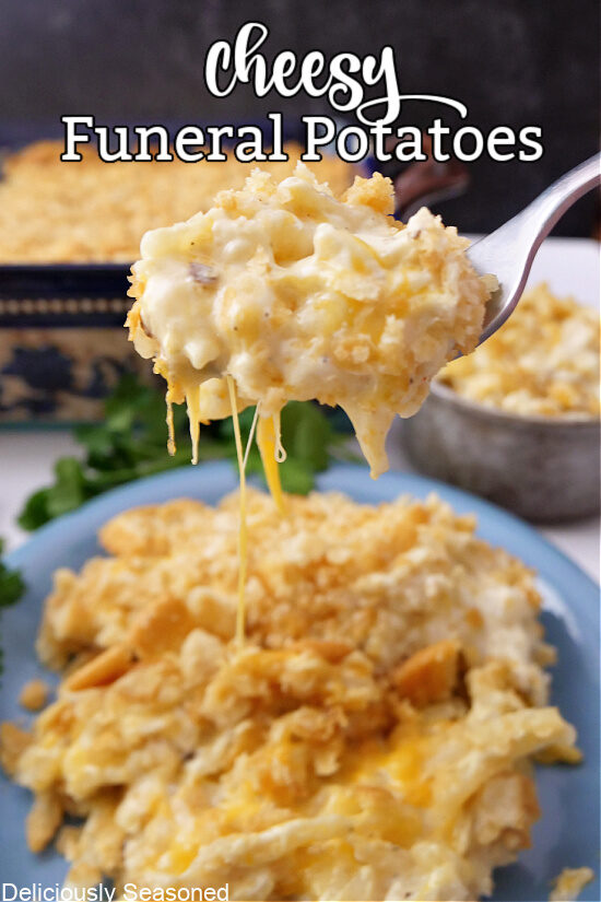 A heaping spoonful of cheesy funeral potatoes.