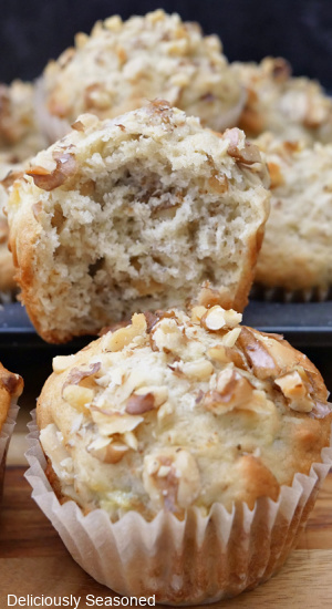 A close up of two banana muffins with chopped walnuts and one has a bite taken out of it.