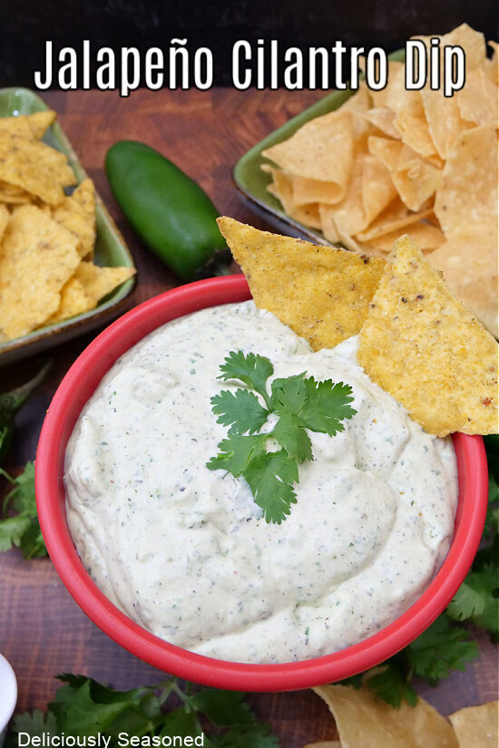 A red bowl with jalapeno cilantro dip in it with tortillas chips placed around the bowl.