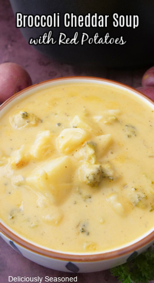 A white bowl with tan trim filled with a serving of broccoli cheddar soup with red potatoes.