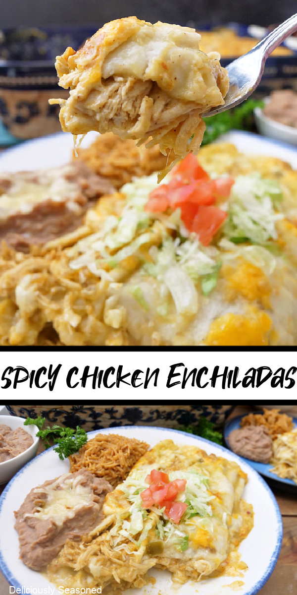 A double collage photo of spicy chicken enchiladas.