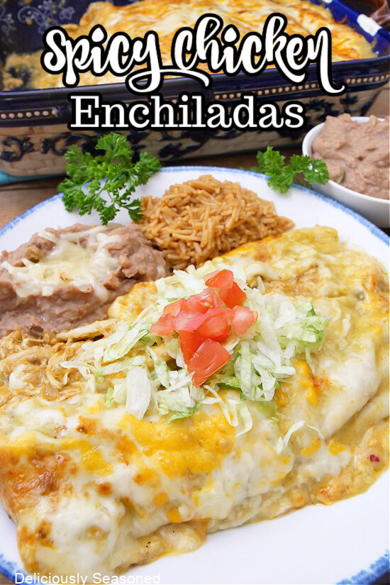 A white plate with chicken enchiladas, rice and beans on it.