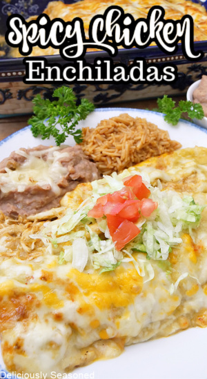 A white plate with chicken enchiladas on it, with rice and beans.