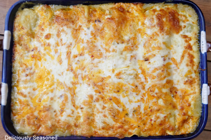 A blue oblong baking dish filled with chicken enchiladas after being pulled from the oven.
