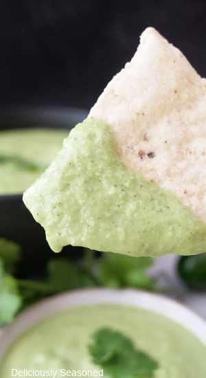 A tortilla chip dipped in jalapeno salsa.
