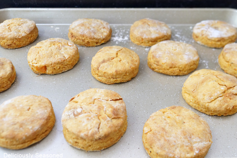 A baking sheet with 13 biscuits on it after being pulled from the oven.