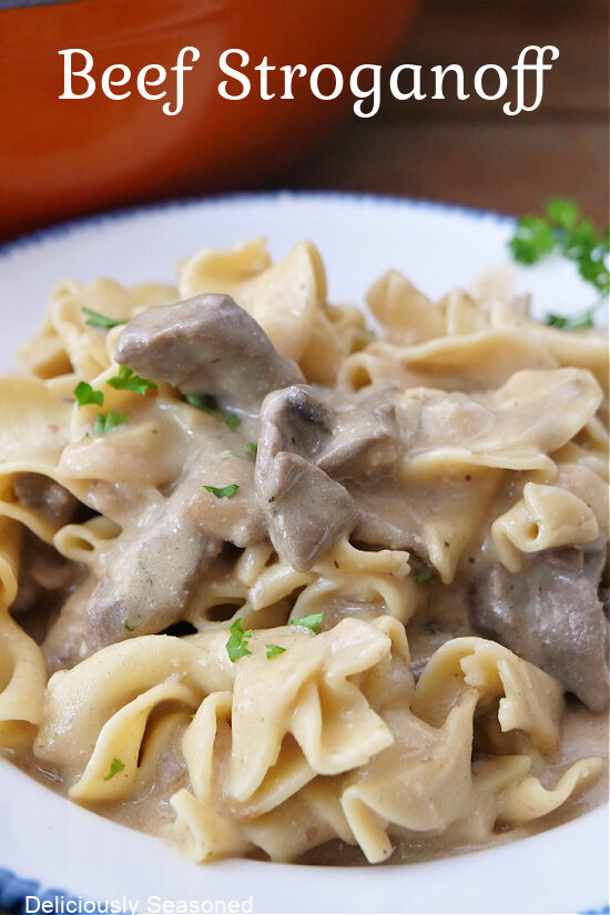 A white bowl with blue trim filled with a serving of beef stroganoff.