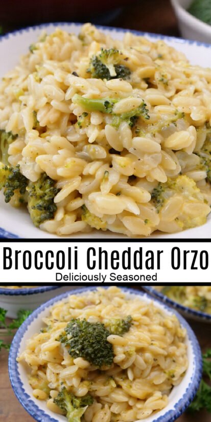Broccoli Cheddar Orzo (Easy One Pot Recipe)