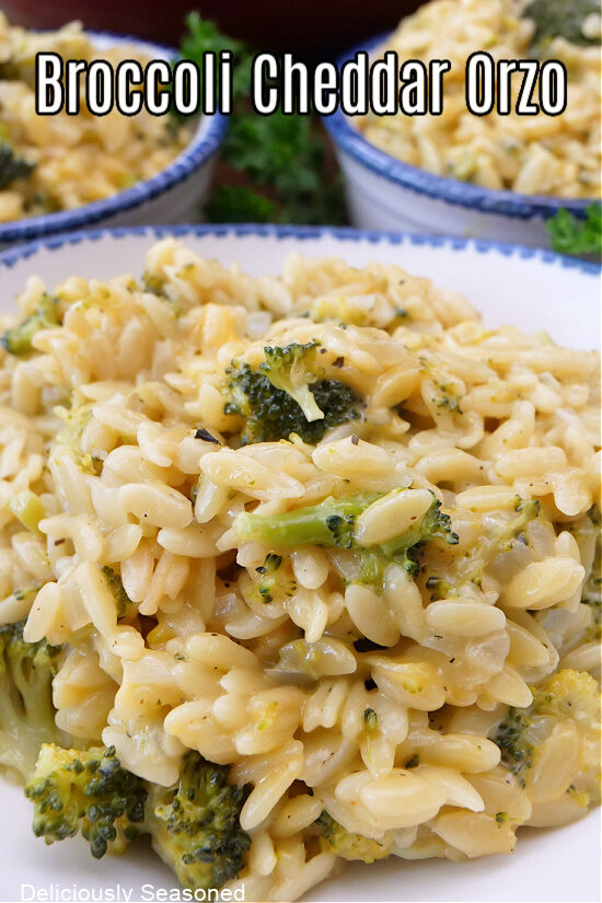 A white bowl with blue trim filled with a serving of broccoli cheddar orzo in it.