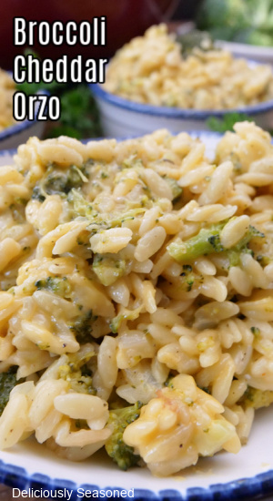 A serving of broccoli cheddar orzo in a white bowl with blue trim.