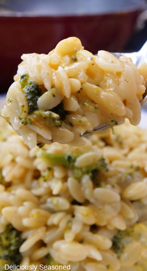 A close up of a spoonful of broccoli cheddar orzo.