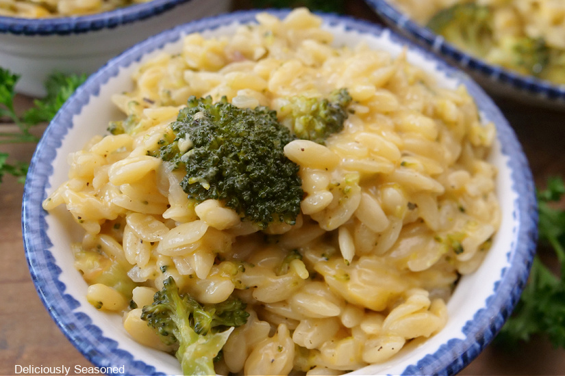 A horizontal photo of a white bowl with blue trim filled with a serving of pasta and broccoli.