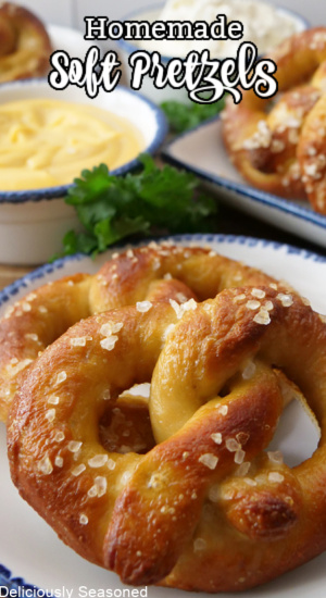 Two soft pretzels on a white plate. 