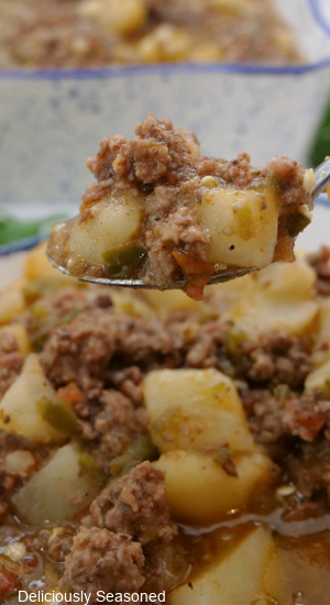 A spoonful of ground beef and potatoes.