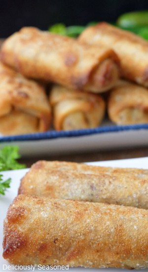 Two egg rolls on a white plate with additional egg rolls in the background.