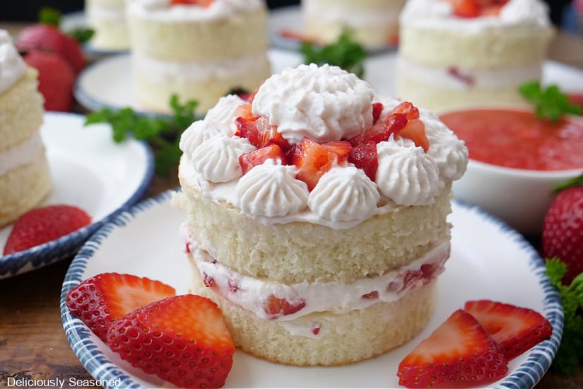 A horizontal photo of little two layer strawberry shortcakes on white plate with blue trim.