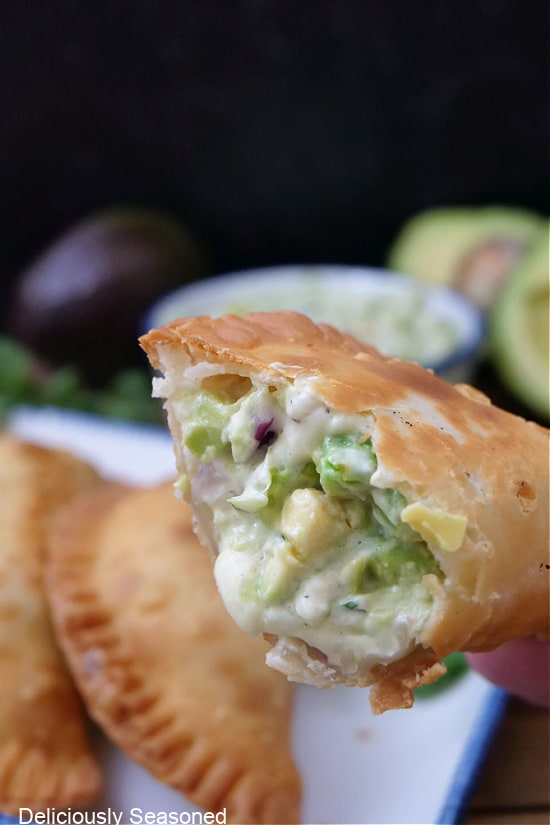 A close up of an empanada filled with an avocado mixture with a bite taken out of it.