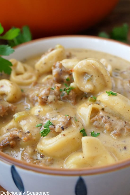 A close up of a bowl of sausage and tortellini soup.
