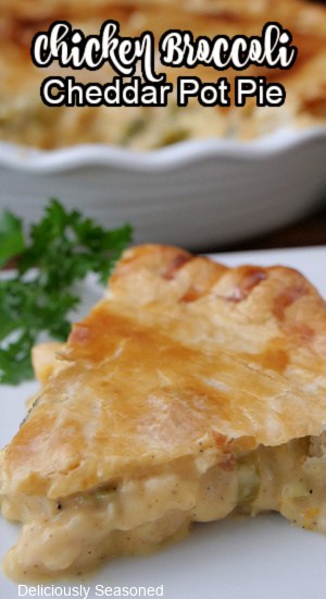 A slice of pot pie on a white plate.