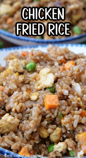 A bowl with a serving of fried rice.