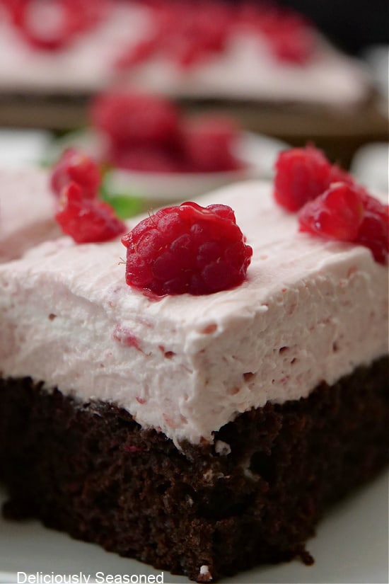 A close up of a piece of chocolate raspberry bar on a white plate showing the thick raspberry whipped cream topping and coarsely chopped raspberries on top..
