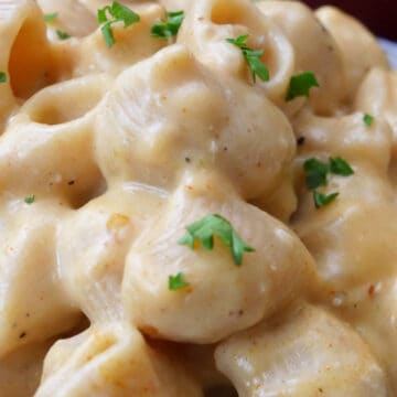 A close up serving of pipe rigate pasta and chunks of chicken in a creamy sauce.