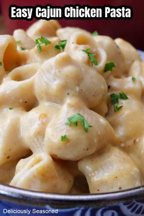 A close up serving of  pipe rigate pasta and chunks of chicken in a creamy sauce.