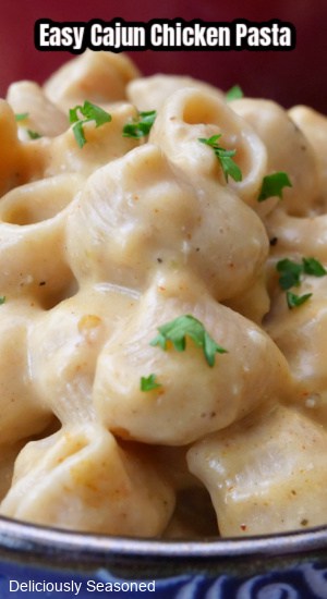 A close up of creamy pasta and chicken.