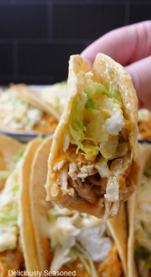 A close up of a chicken taco with a big bite taken out of it.