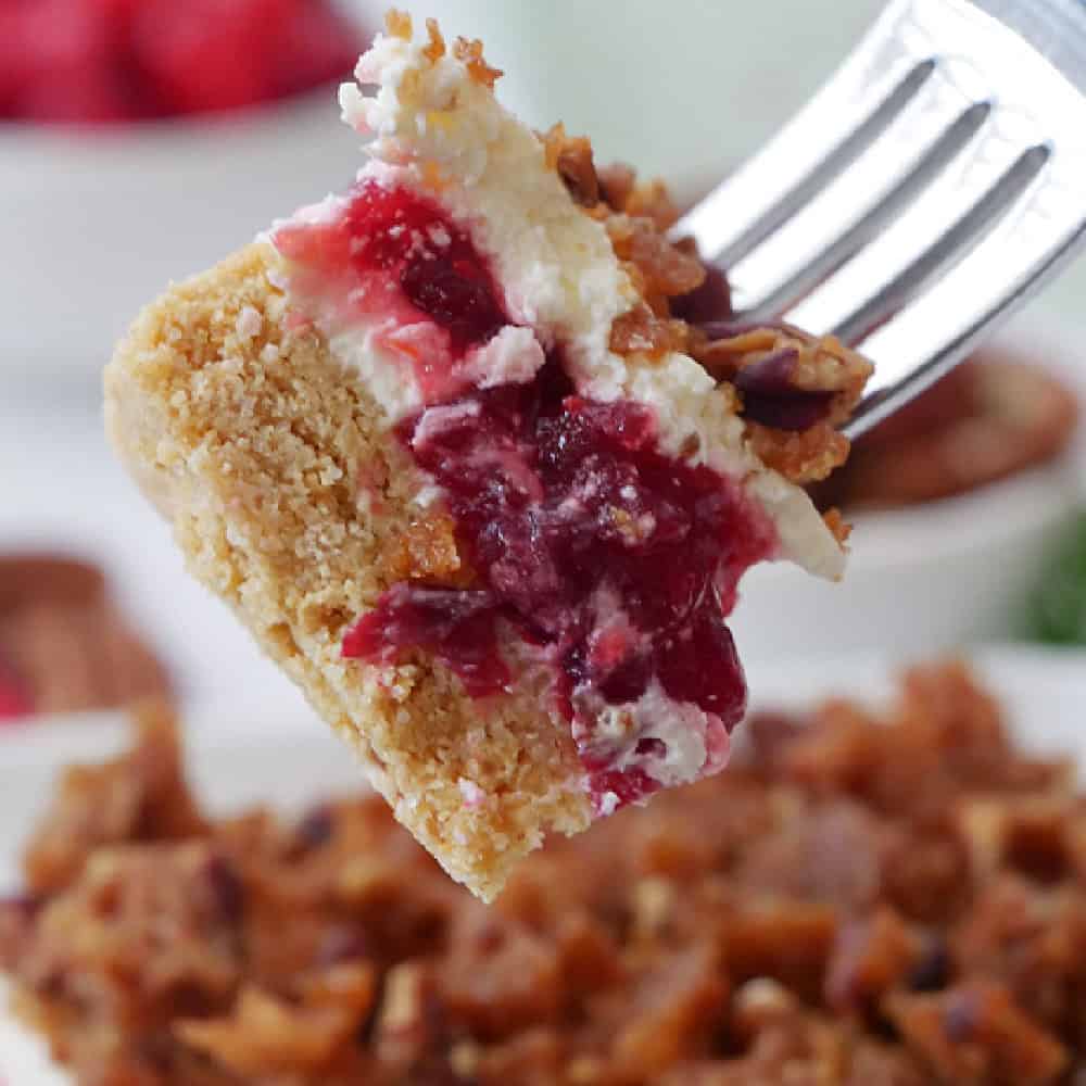 Cranberry Dessert - Deliciously Seasoned