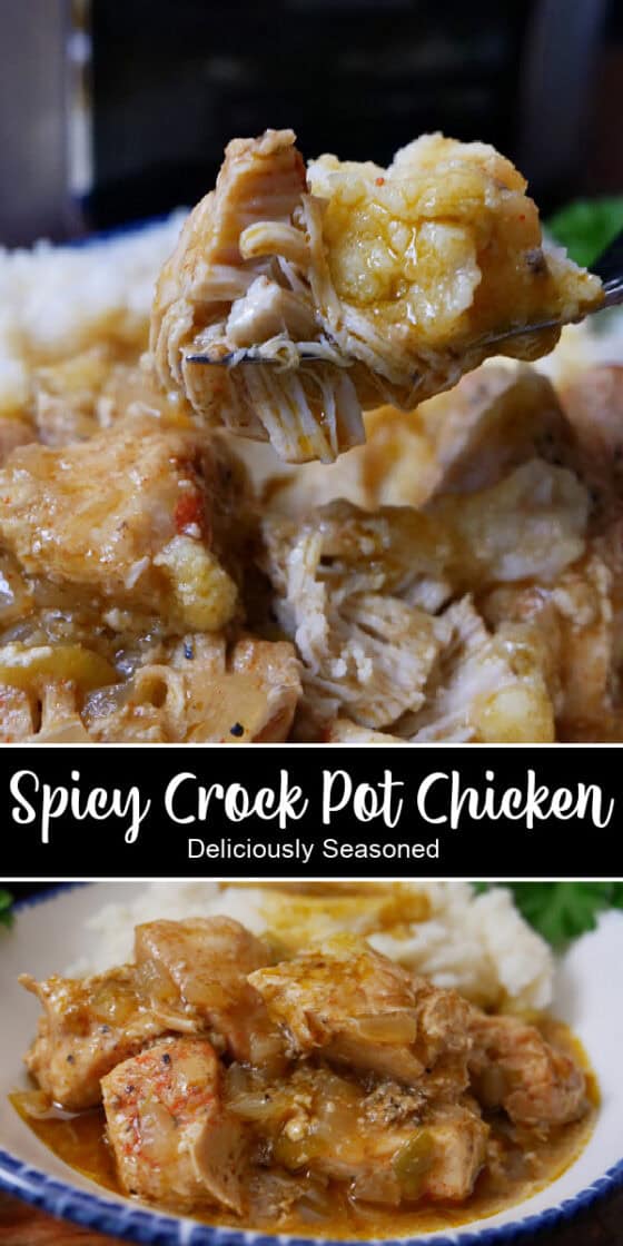 Spicy Crock Pot Chicken - Deliciously Seasoned