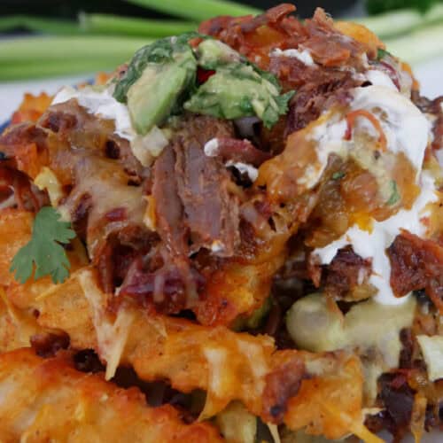 A white plate with blue trim with a serving of loaded pulled pork fries on it.
