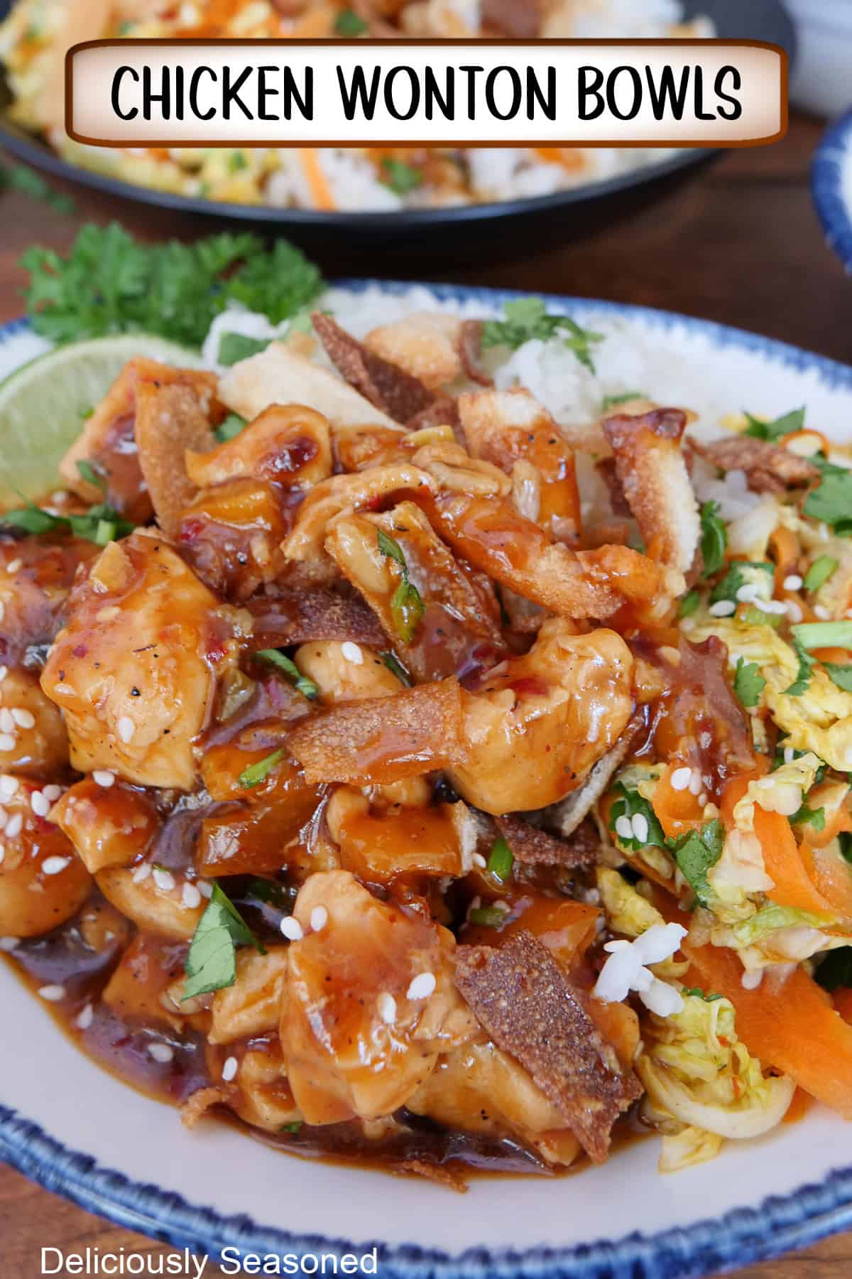 A white bowl with blue trim filled with a serving of chicken wonton, and a title overlay is at the top of the photo.