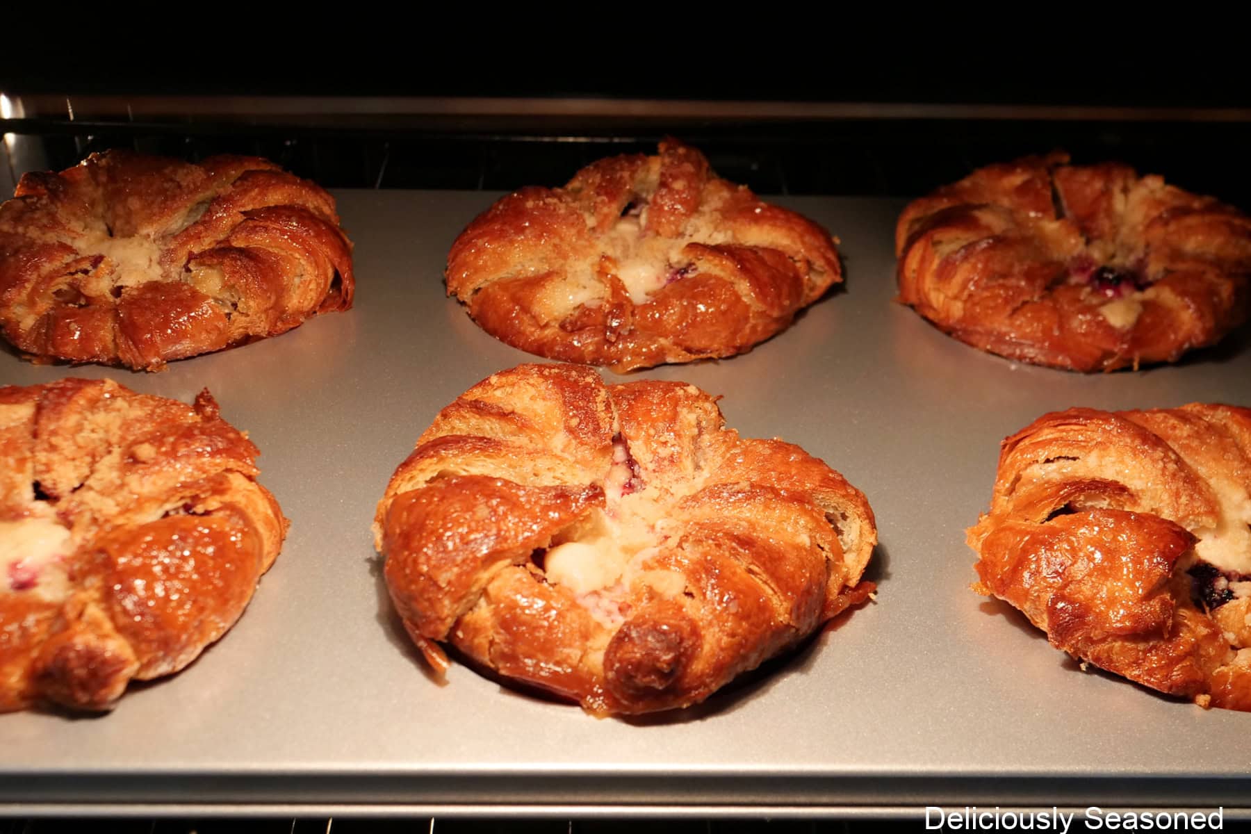 A baking sheet with six blackberry cream cheese croissants on it and being baked in the oven.