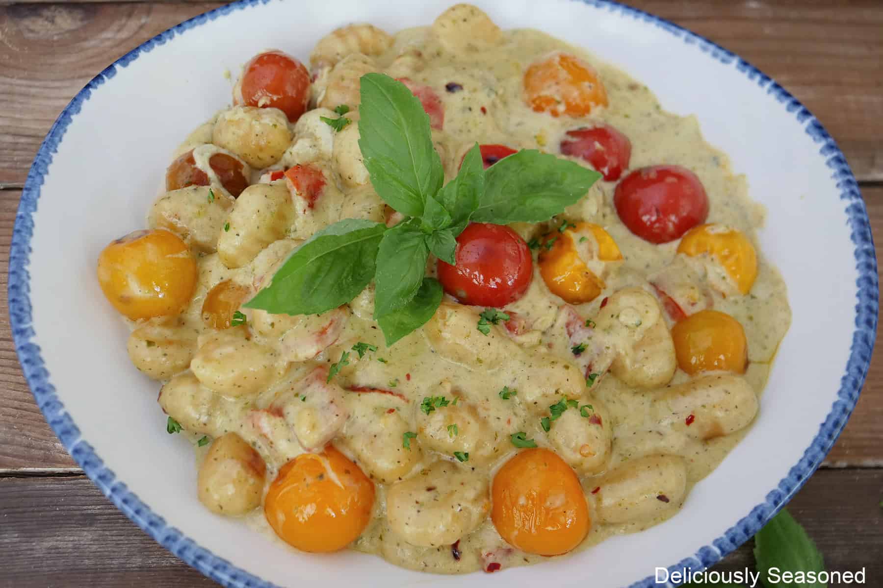 A white bowl with blue trim with a serving of tomato pesto alfredo gnocchi in it.
