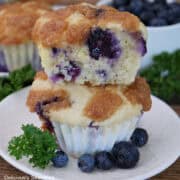 Two blueberry cream cheese muffins on top of each other, with a bite out of the muffin on top.